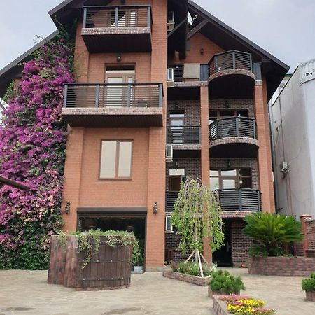 Guest House Belweder Gagra Dış mekan fotoğraf